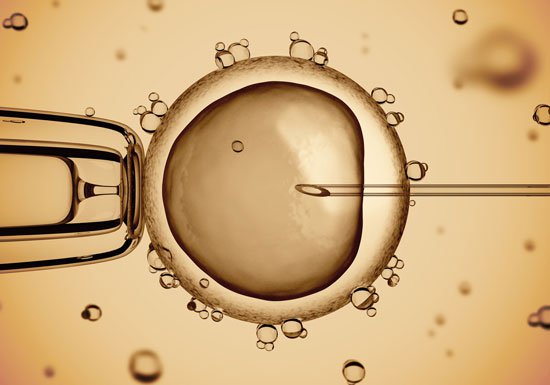 Donor Egg Vitrification